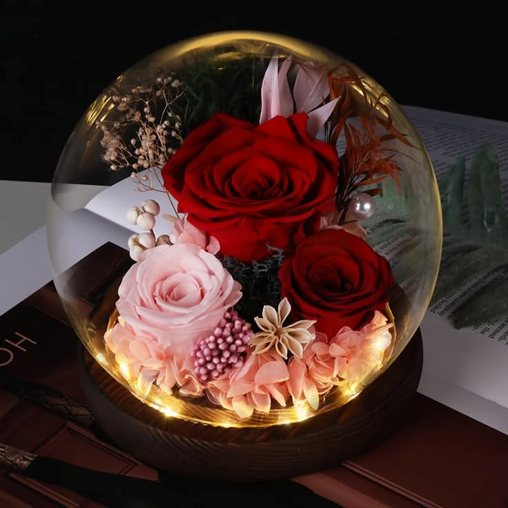 Cúpula Encantada con Rosas Preservadas y Luz LED